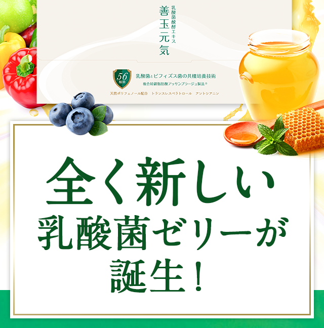 全く新しい乳酸菌ゼリーが誕生