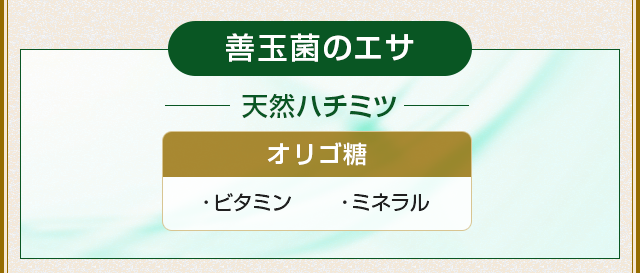 エイジングケア