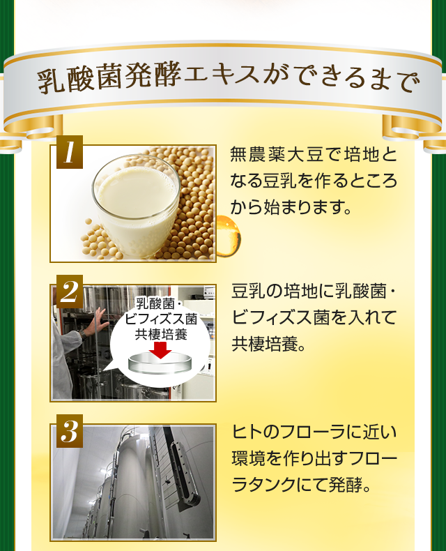乳酸菌発酵エキスができるまで