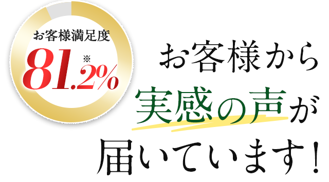 お客様から実感の声が届いています