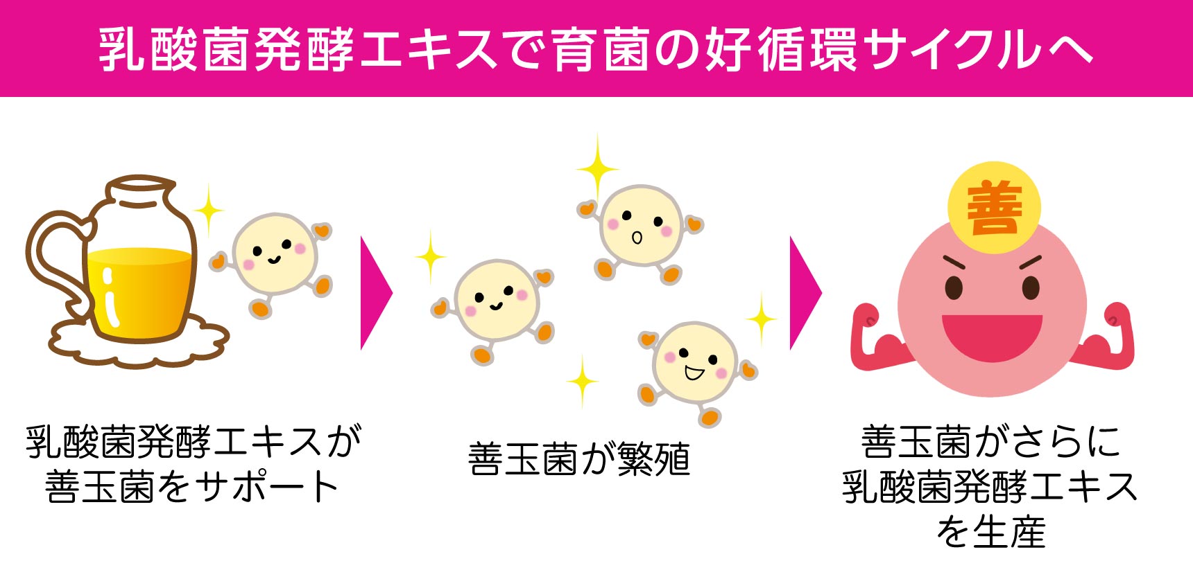 菌のイメージ