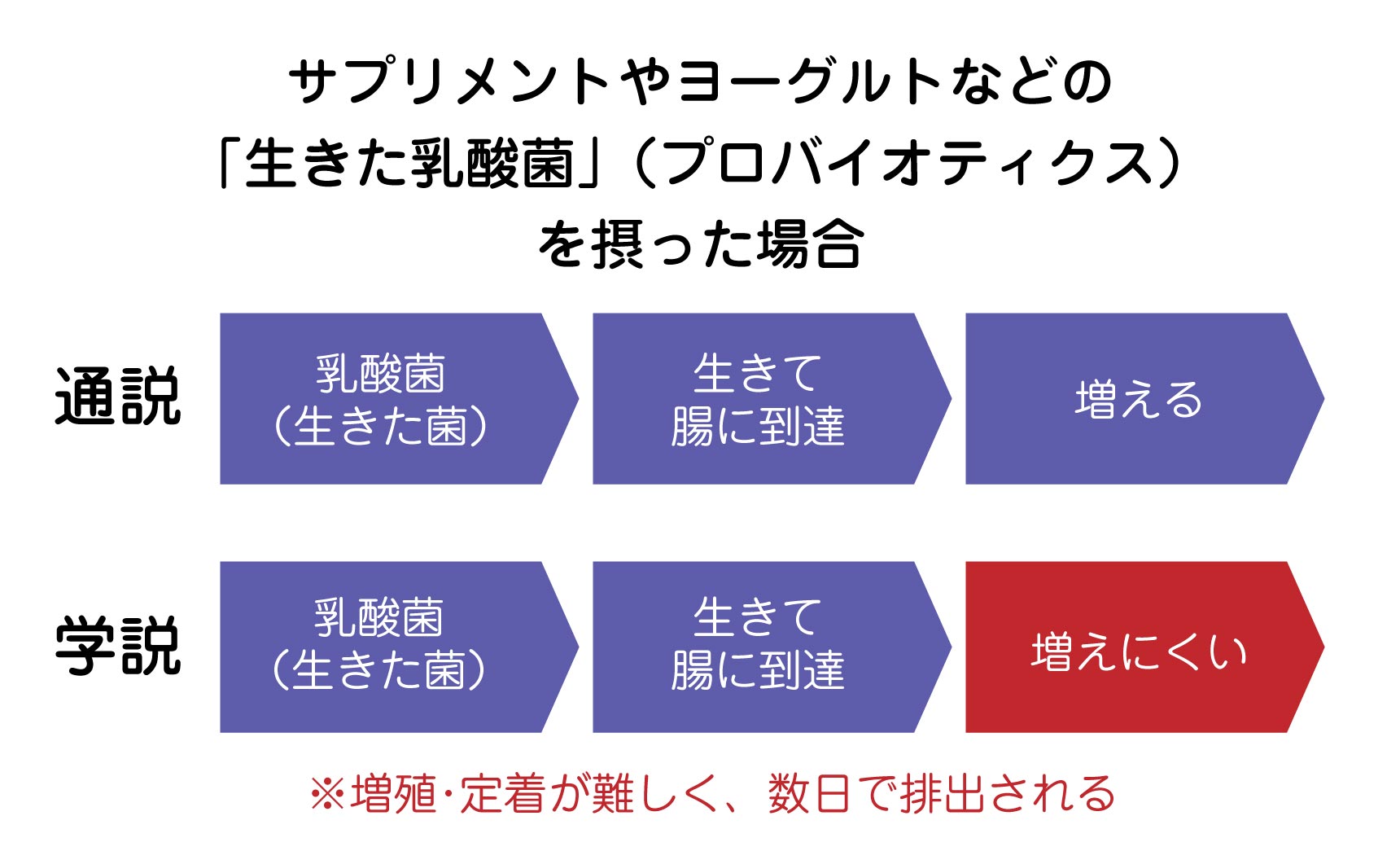 生きた乳酸菌の通説と学説