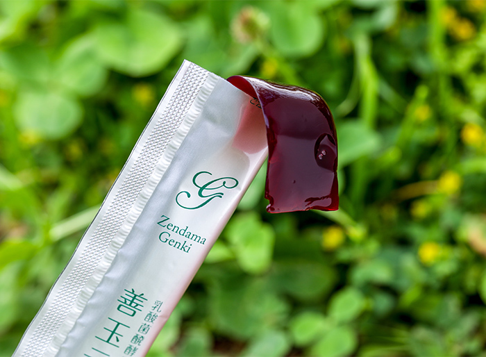 善玉元気イメージ